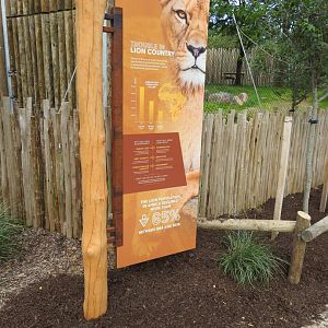 African Journey Lion SIgnage
