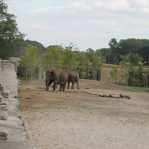 Elephant enclosure outside the walls of the park
