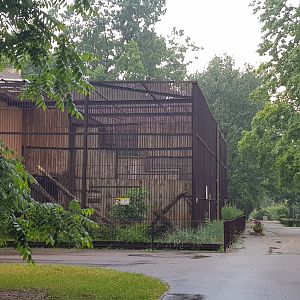Snow leopards run of cages