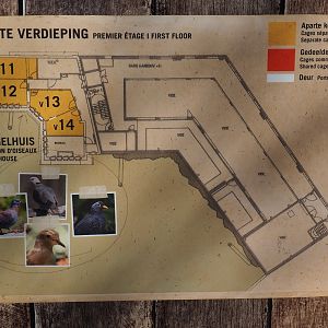Savanna - Cape buffalo and African birds housing arrangements signs, part 2 - 2019
