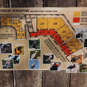 Savanna - Cape buffalo and African birds housing arrangements signs, part 3 - 2019