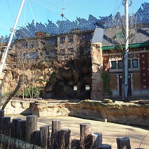 Savanna aviary with Cape buffalos and African birds, 2019