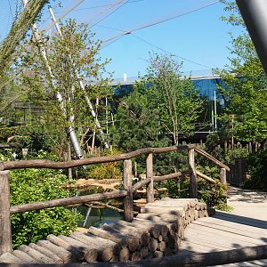 Savanna aviary - Part of the visitor area, 2019-04-20