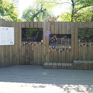 Poop-inspired jewelry exhibition display, 2019-04-20