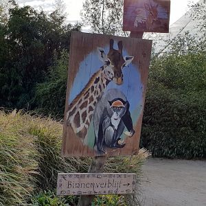 Sign Giraffe and DeBrazza monkey indoor enclosures