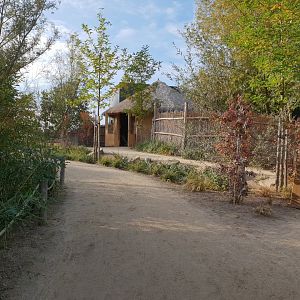 Giraffe and DeBrazza monkey indoor enclosure