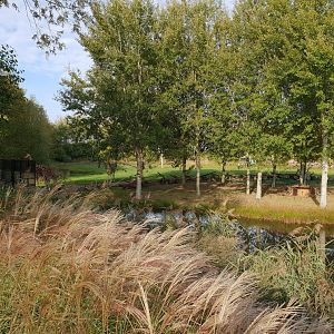 Part Giraffe and DeBrazza monkey outdoor enclosure