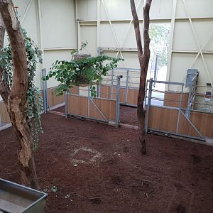 Giraffe indoor enclosure