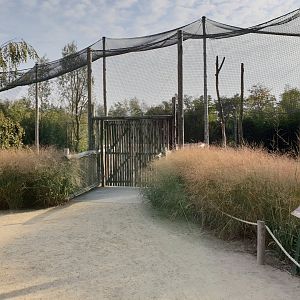 Palm-nut vulture - Crowned crane - Kirk dikdik enclosure