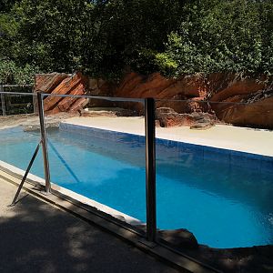 Smaller Sealion Enclosure