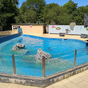 Main Sealion Enclosure