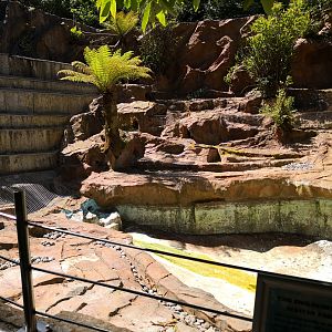 Former Penguin exhibit used for rescue Seals