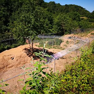 Hudson Bay Wolf Exhibit