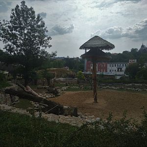 Giraffe/Savannah Exhibit