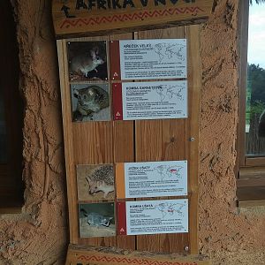 Africa House Signage