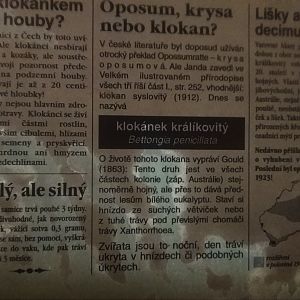 Australian Section Signage