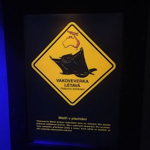 Australian Section Signage