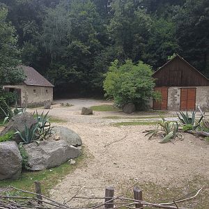 Alpaca Exhibit