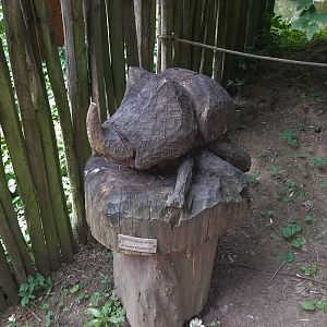 Rhino Beetle Carving