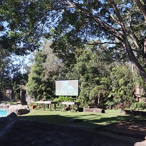 Tiger Island- Main Enclosure