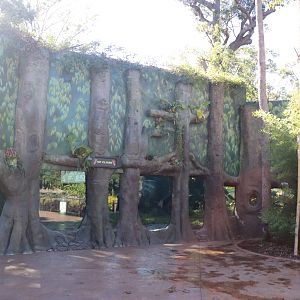 Tiger Island- 'Up Close' Enclosure