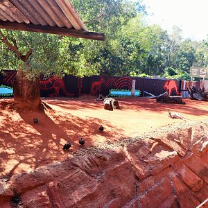 Red Kangaroo/ Emu Enclosure