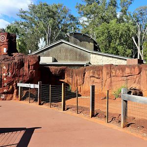 Wombat Enclosure