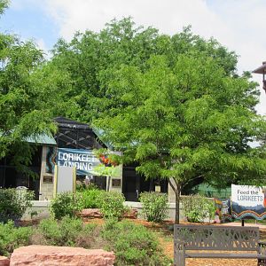 Lorikeet Landing- Exterior