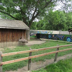 Emu Exhibit