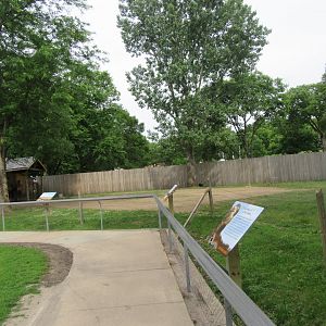 Bactrian Camel Exhibit