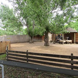 Alice Spring Sheep Station
