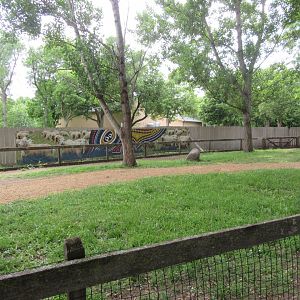 Alice Spring Sheep Station