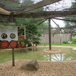 Australian Aviary- Interior