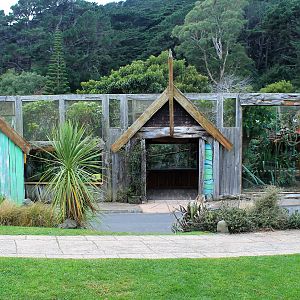 Marmoset / Tamarin enclosure