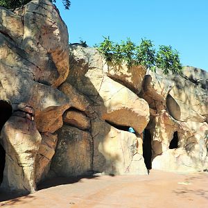 Tiger Island- 'The Lair' Enclosure