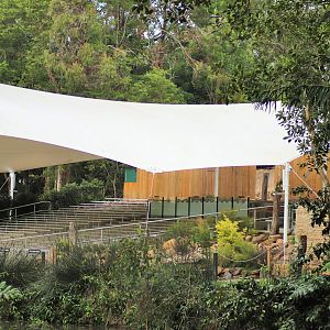 Free-Flight Bird Show Area