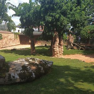 Red-necked Wallaby Exhibit