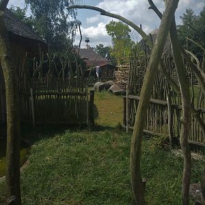 Marabou Stork Exhibit
