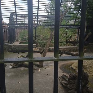 Brown Bear Cage