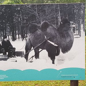 Zoo History photo display June 2019