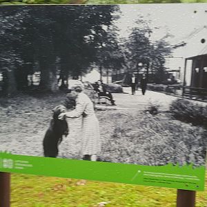 Zoo History photo display June 2019