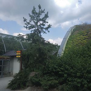 Bavarian Aviary (left) & Education Centre (right)