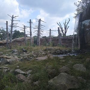 Himalayan Bear Exhibit
