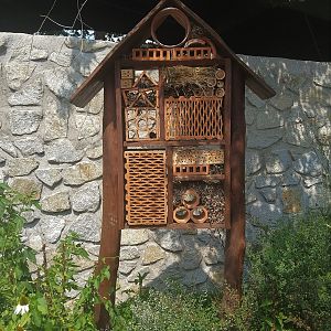 Insect Hotel
