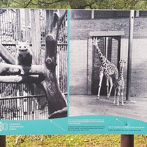 Zoo History photo display June 2019