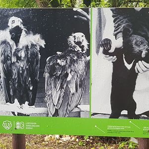 Zoo History photo display June 2019