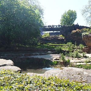 African lion exhibit, 2019-04-20