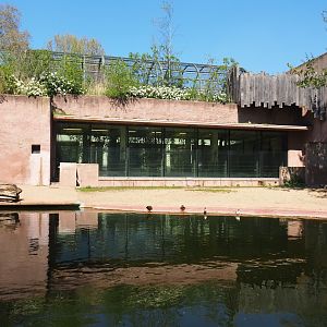 Hippopotamus exhibit and house, 2019-04-20