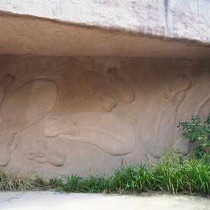 Hippopotamus artwork on the side of the hippopotamus house, 2019