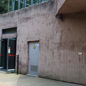 Entrance to the hippopotamus house, 2019